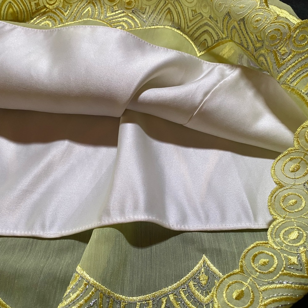 Beautiful & Unique Fully Lined Embroidered Skirt - image 7